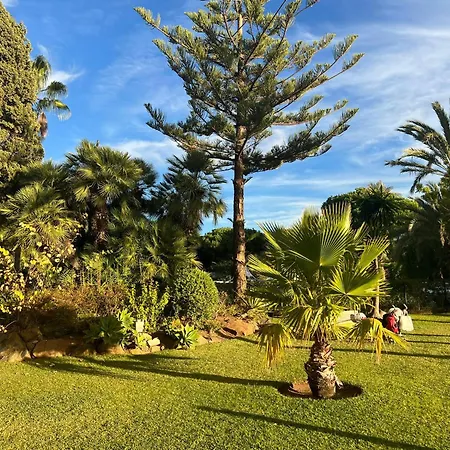 Moderno Estudio Y Piscina A 50 Metros De La Playa * Marbella